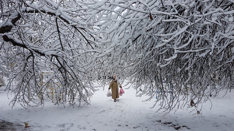 фото превью