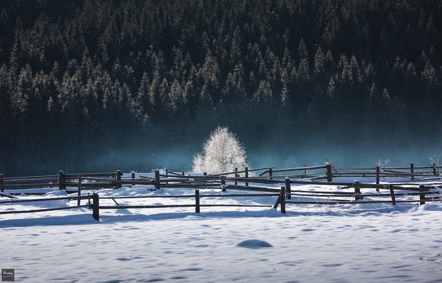 карпаты, Дмитрий Иванов