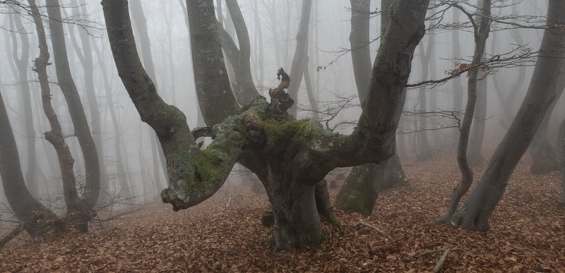 ... фото превью