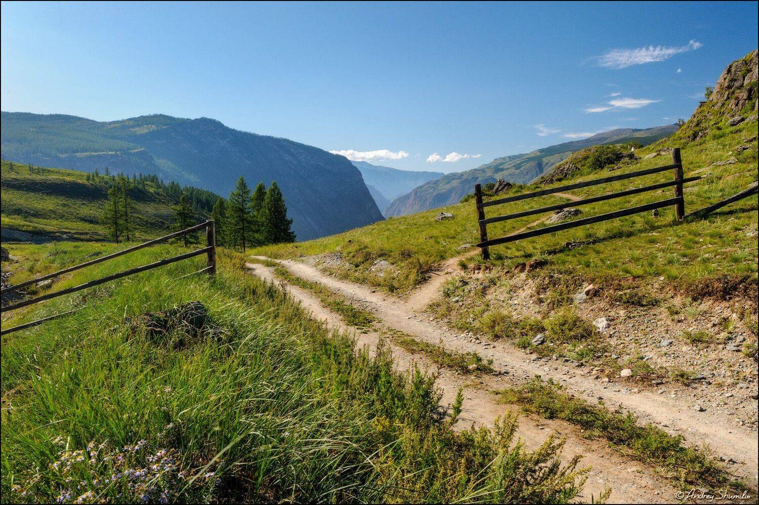 , Андрей Шумилин