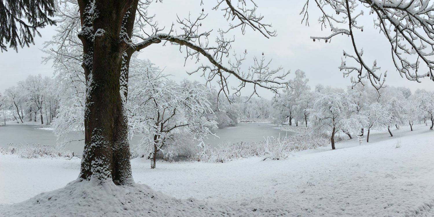 , Сергей Харитон