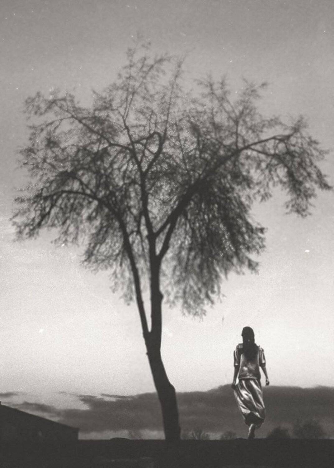 #iphone, #picsart, #snapseed, #pictorialism, Artur Politov