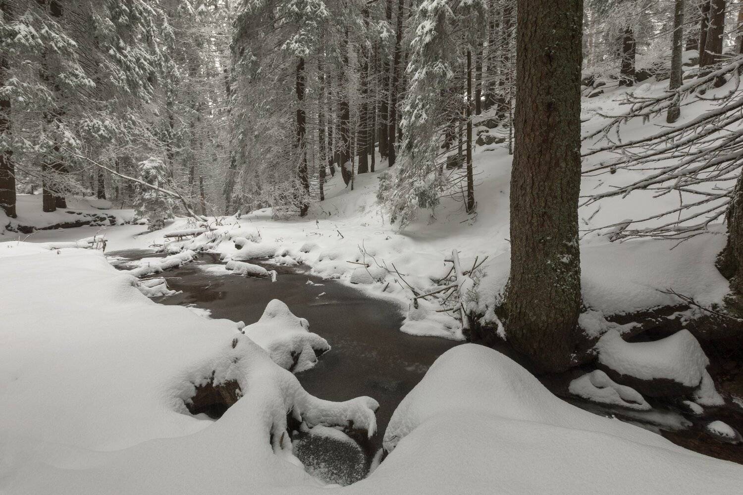 , Александър Сандев