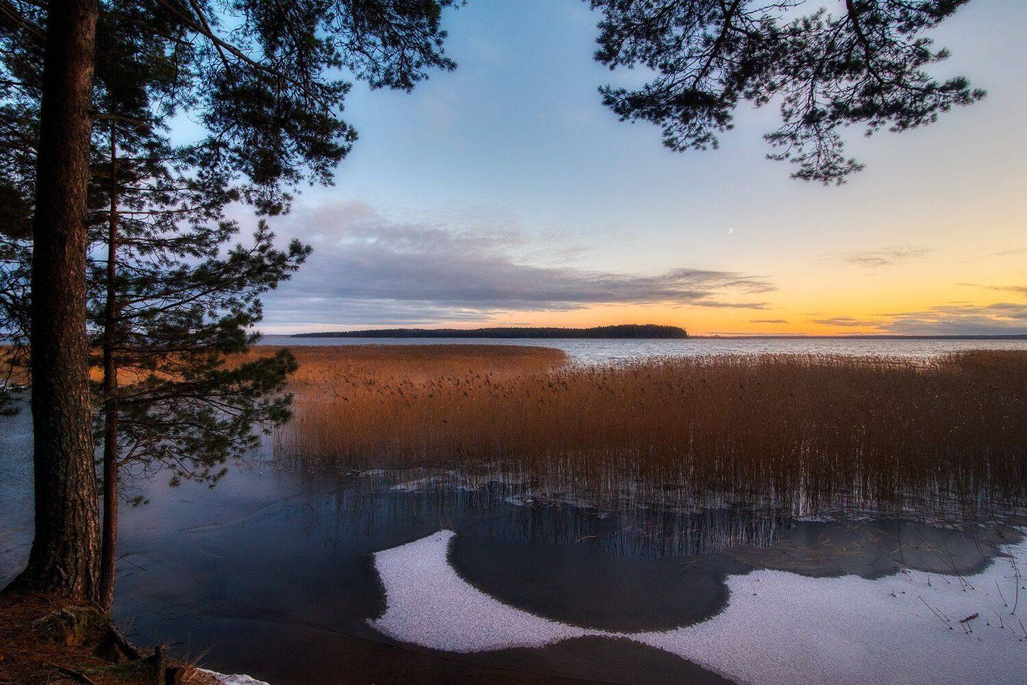 , Федотов Антон