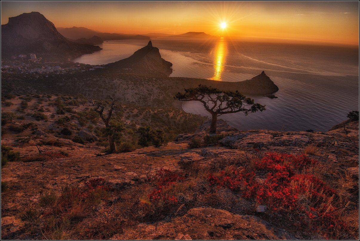 крым, новый свет, утро, солнце, дорожка, море, скумпия, АНАТОЛИЙ ДОВЫДЕНКО