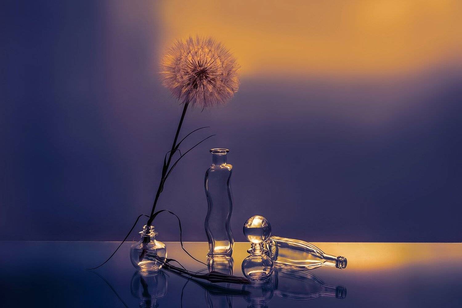 , MVO (Марк Орлов)