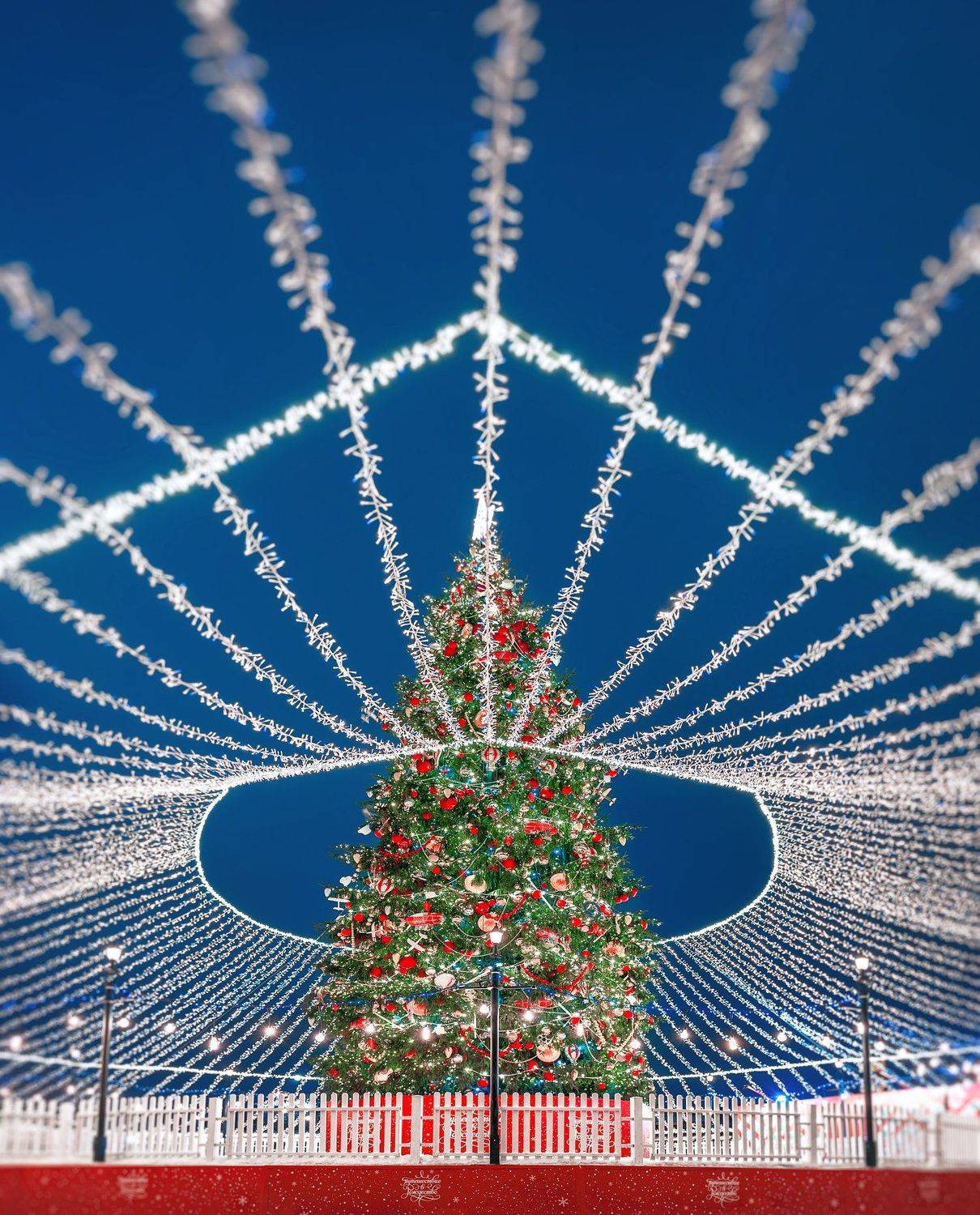 москва, новый год, new year, moscow, decoration, манежная площадь, праздник, снег, snow, елка, Анастасия Мазурева