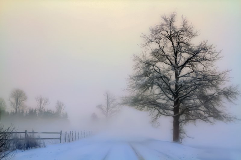 mist,day, country, countryside, outdoor, winter,tree,road,snow mist day in countryside фото превью