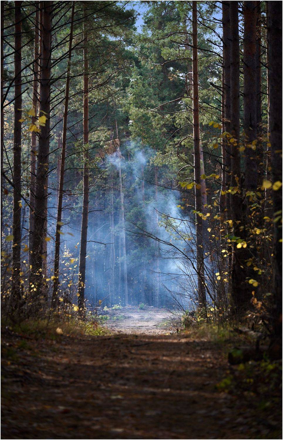 , Владимир Краснов