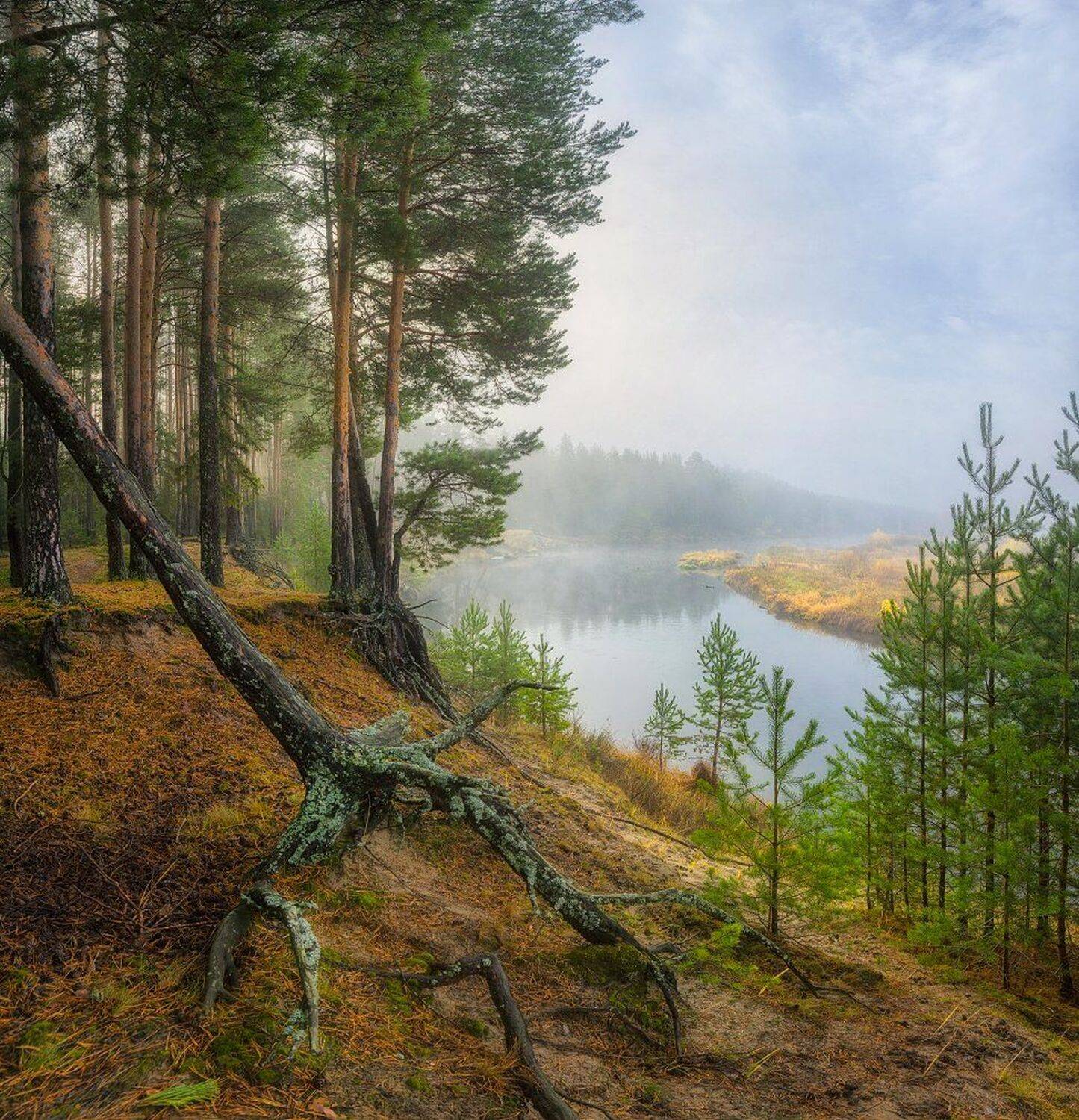 , Устюжанин Михаил