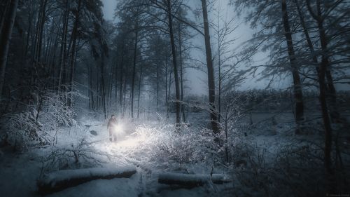 Безмолвие ночи