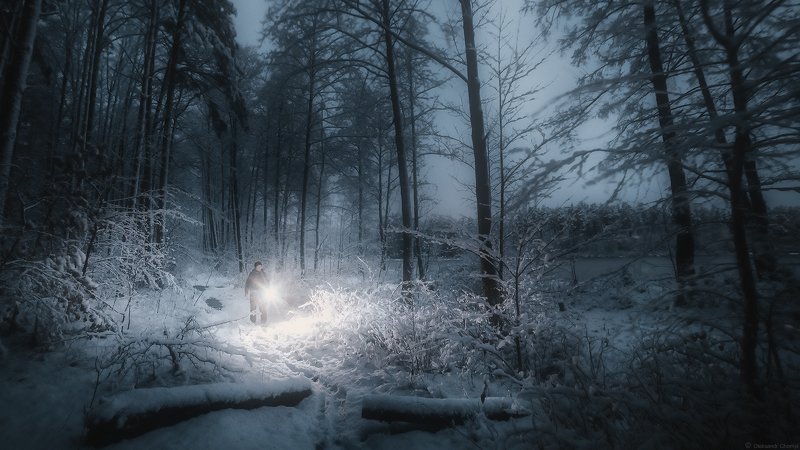украина, коростышев, природа, лес, полесье, зима, тропа, человек, свет, сумерки, вера, молчание, снегопад, озеро, следы, силуэт, тишина, уединение, счастье, жизнь, воздух, чистый, вдохновение,  деревья, фотограф, чорный, Безмолвие ночи фото превью