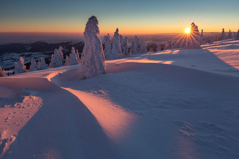 mountain, winer, landscape, travel, nature, romania, colors, apuseni, trees, snow, cold, sunrise Cold Morning фото превью