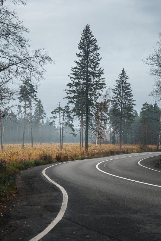 Подмосковная осень фото превью