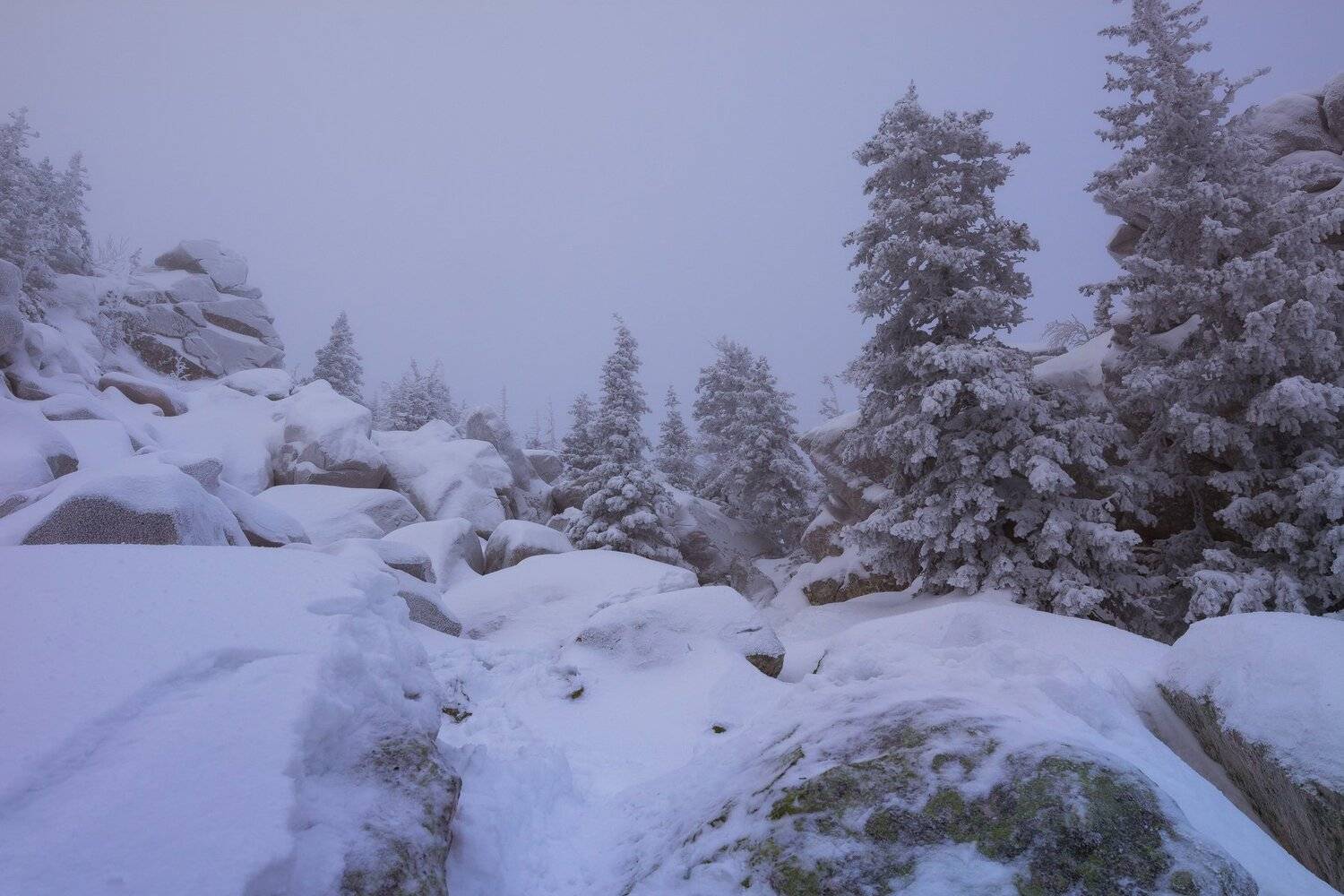 , Андрей Шарапов