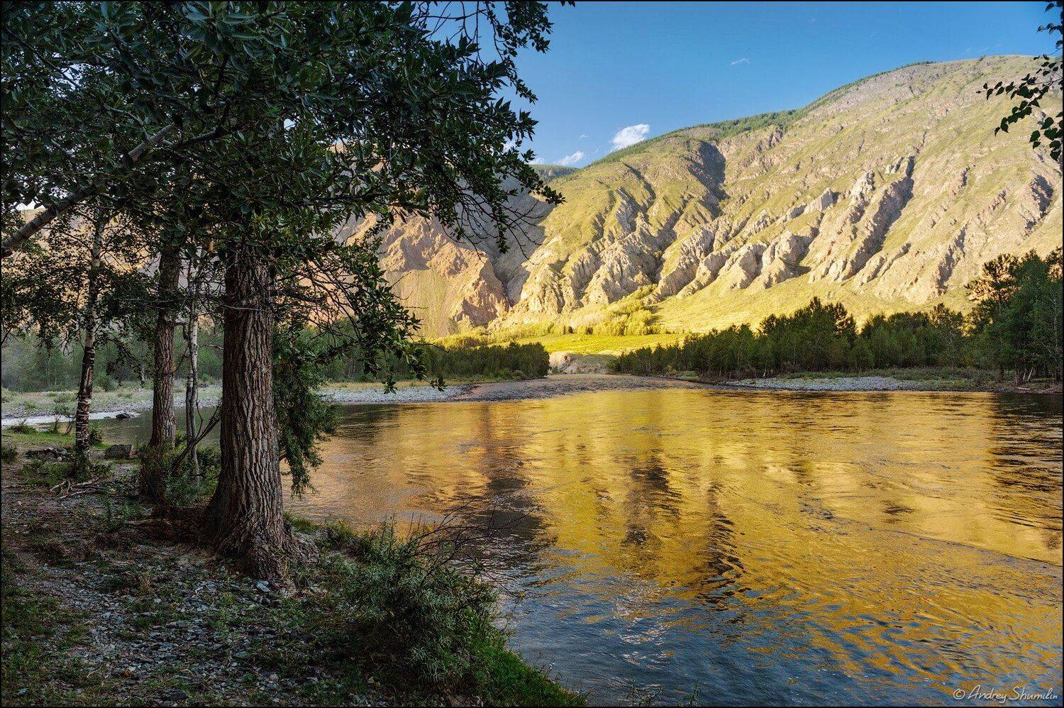 , Андрей Шумилин