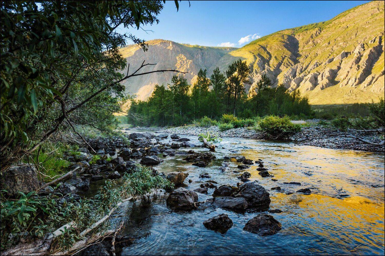 , Андрей Шумилин