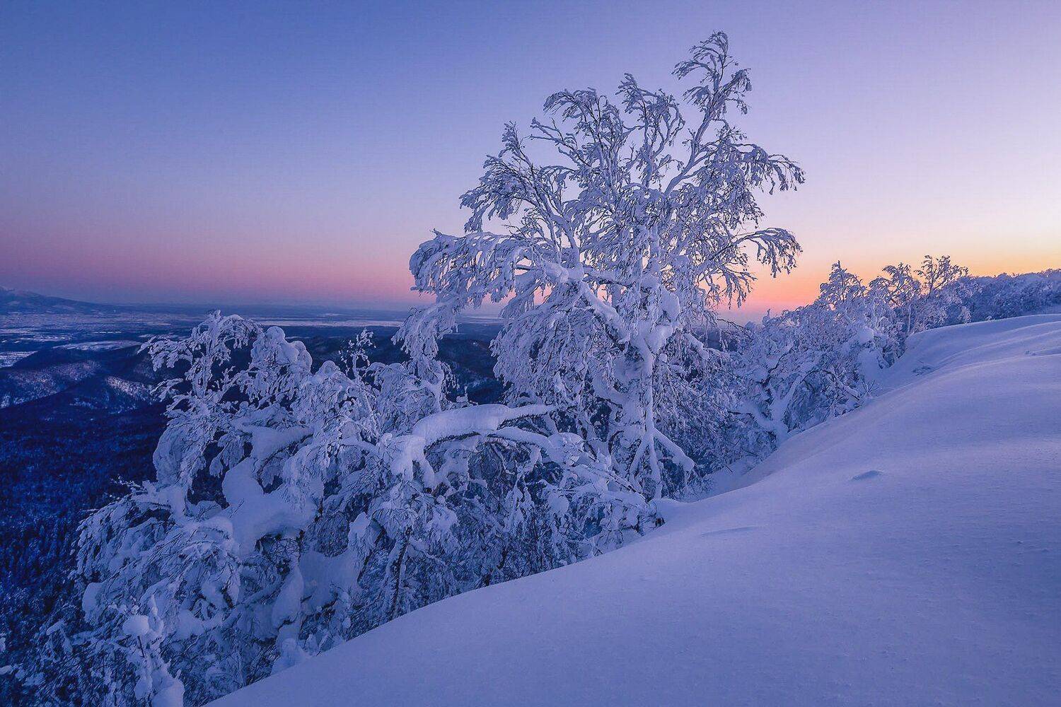 , Артем Удодов