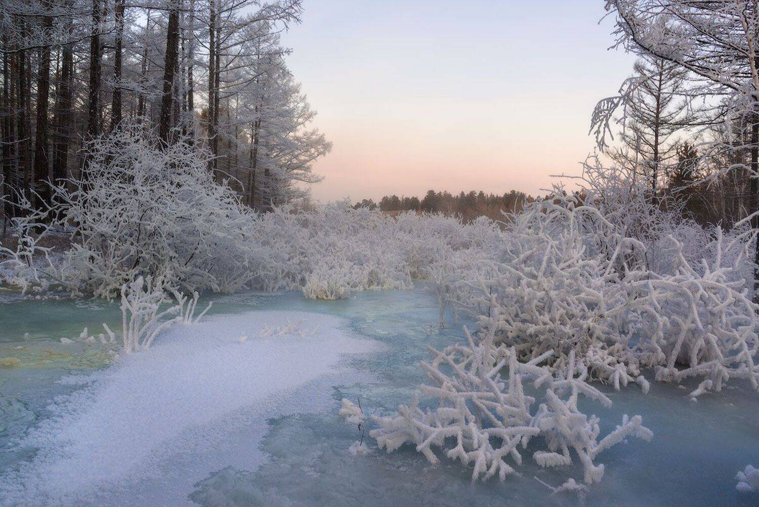 , Сергей Брагин