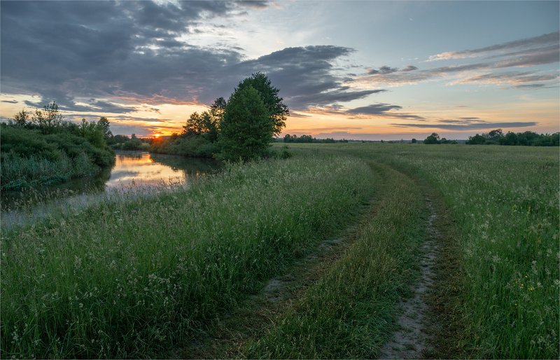 июньским утром у Горини... фото превью