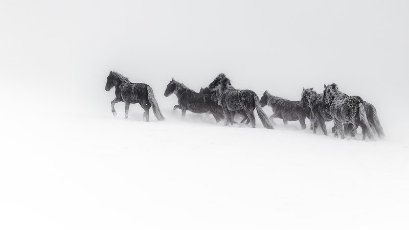 Destiny фото превью