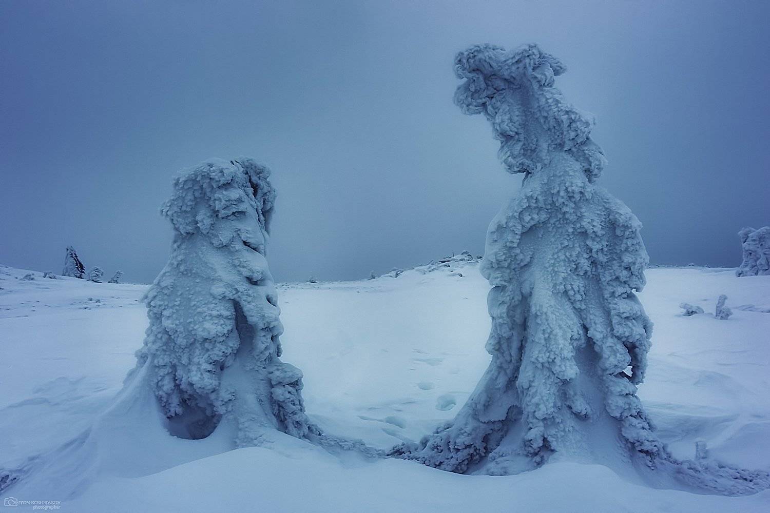 , Антон Кошетаров