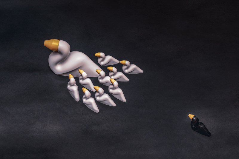 The ugly duck фото превью