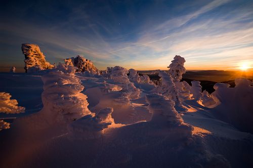 Лучшие рождественские «ёлочки» из Шерегеша