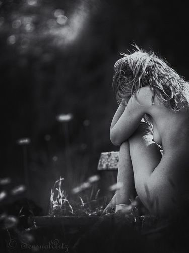 Grief of the bushfires