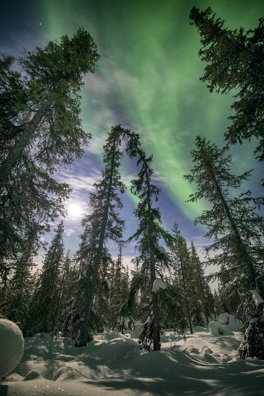 Поцелуй ... фото превью