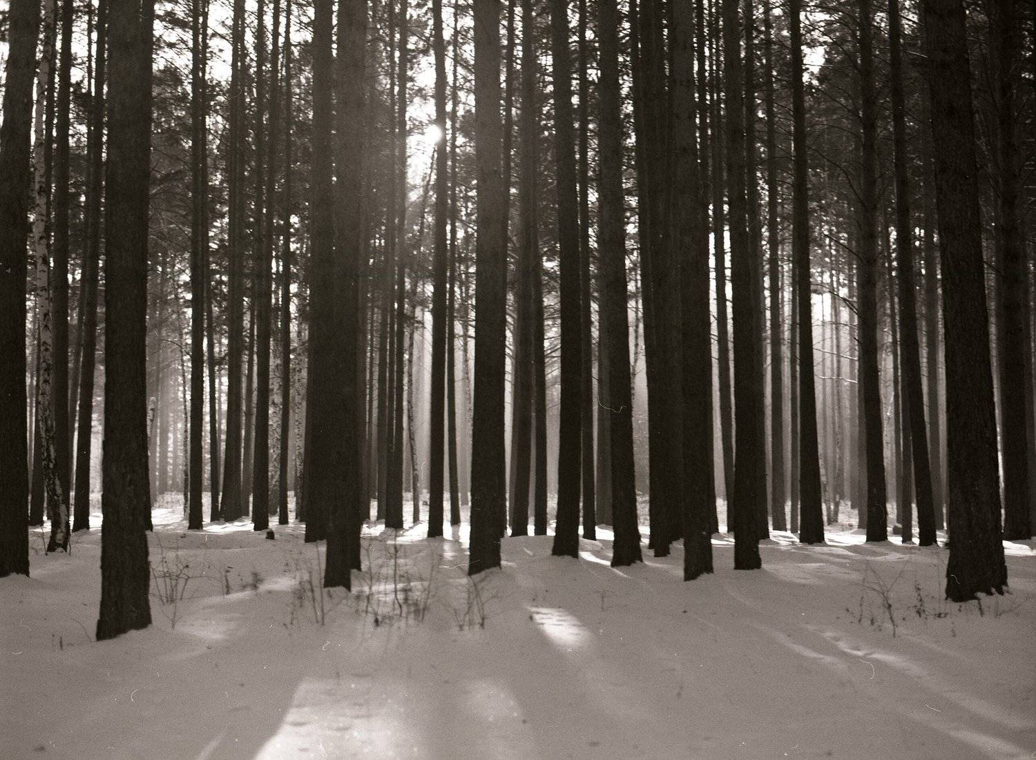 , Илья Глобин