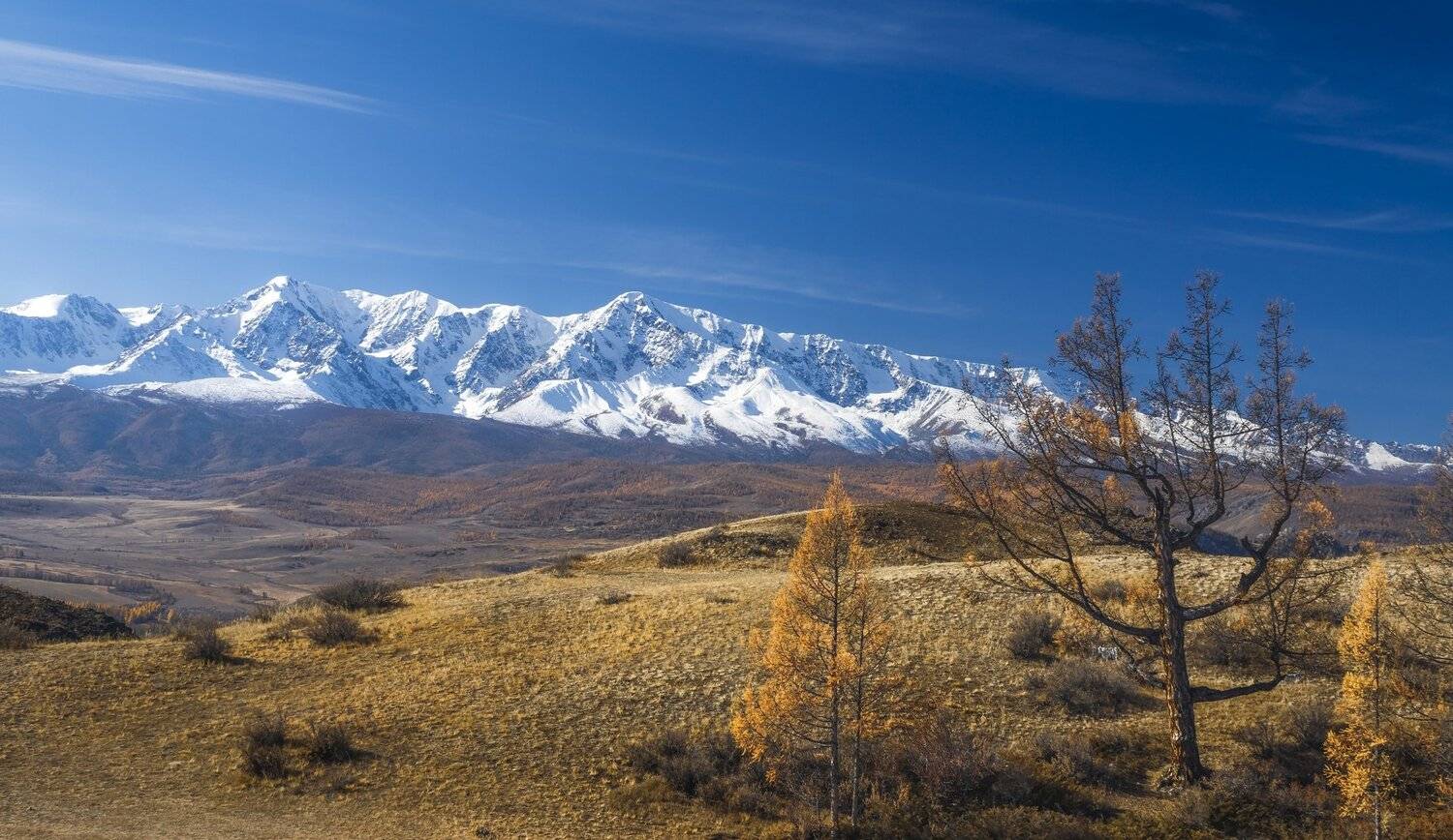 , Анатолич