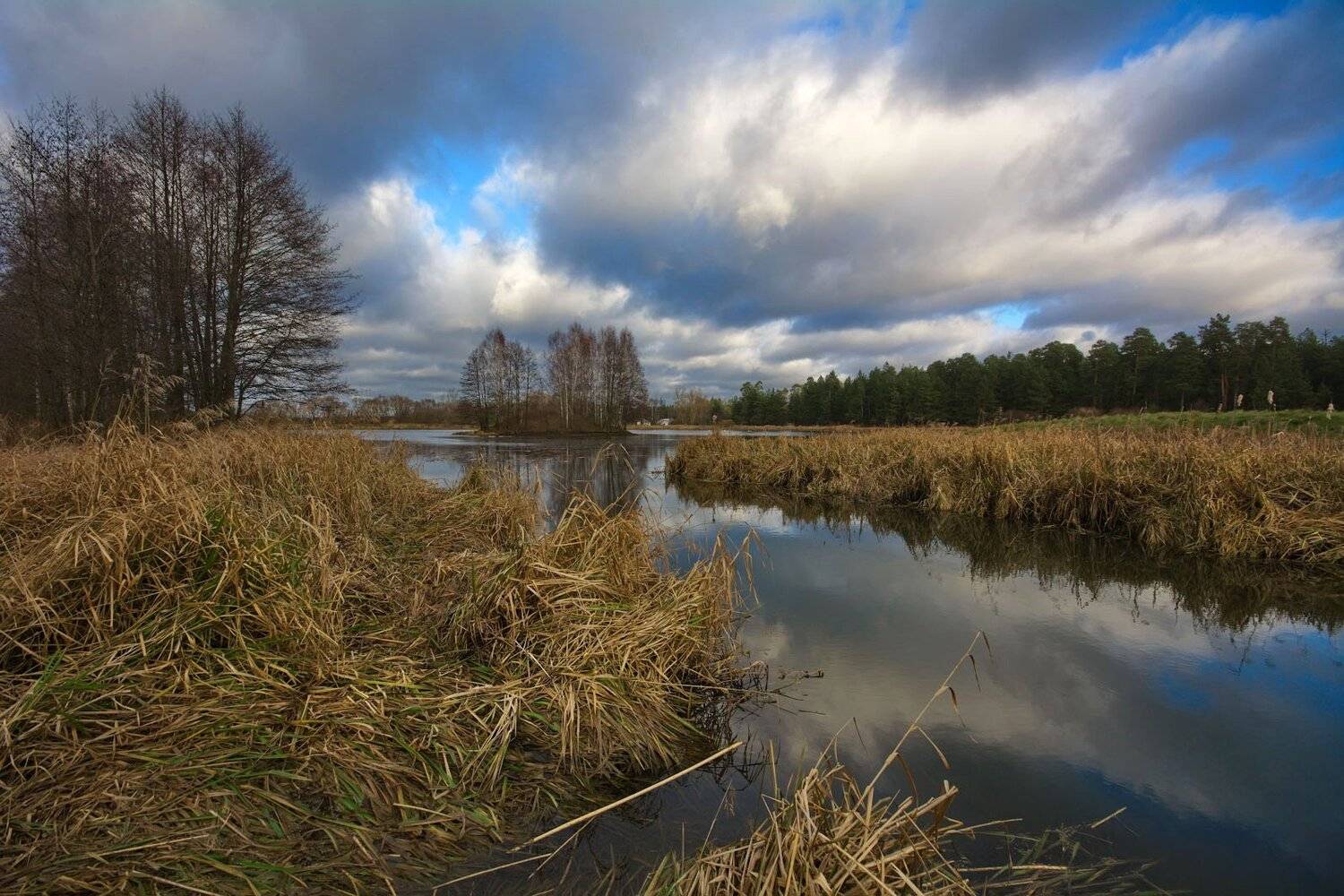 , Сергей Харитон