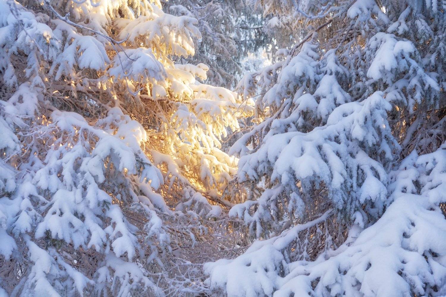 , Сергей Сотников