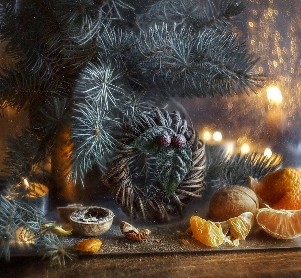 , Svoboda Andreeva