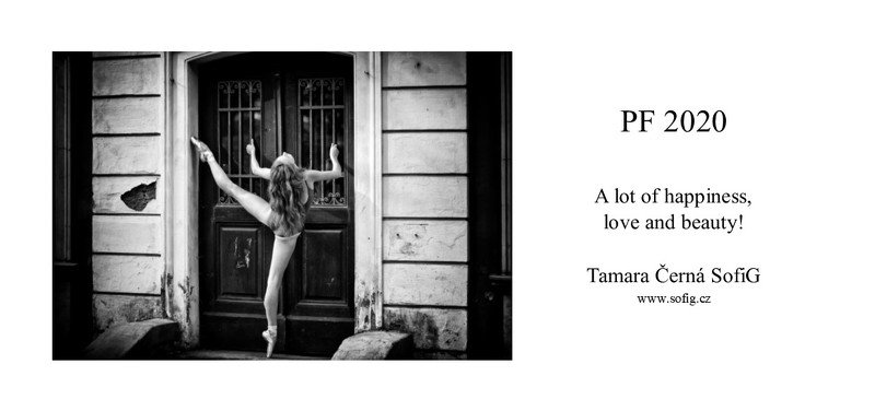 pf PF 2020 фото превью