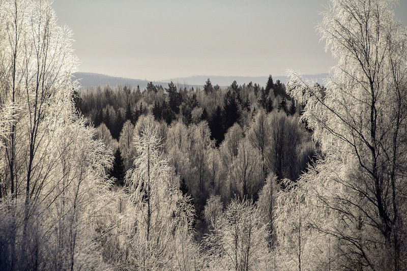 изморозь, урал Серебрянная чаша фото превью