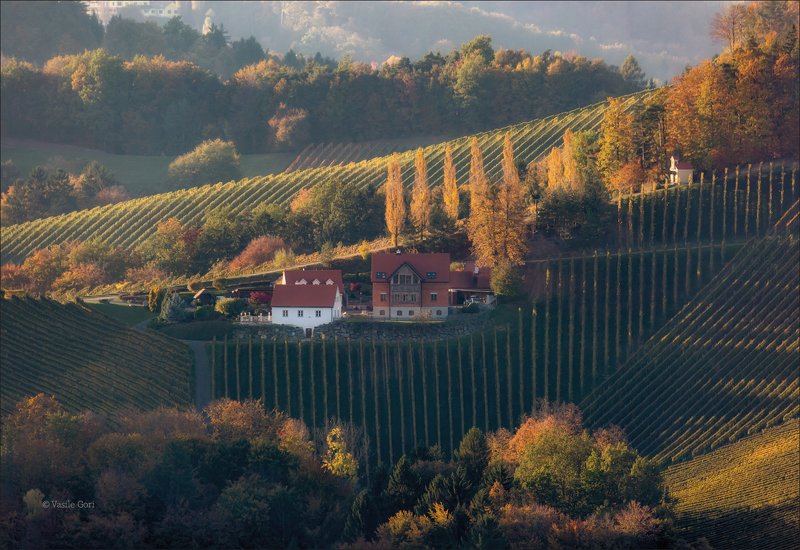 штирия,гамлитц,свет,австрия,gamlitz- sernau,landscape,панорама,осень КРАСКИ ОСЕНИ фото превью
