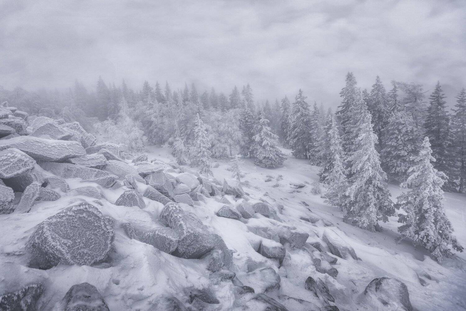 озеро, горы, лес, природа, закат, рассвет, красота, приключения, путешествие, облака, Шевченко Николай