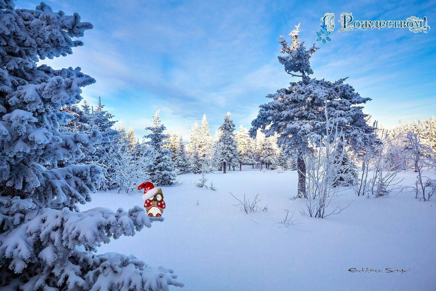 , Сергей Евдокимов