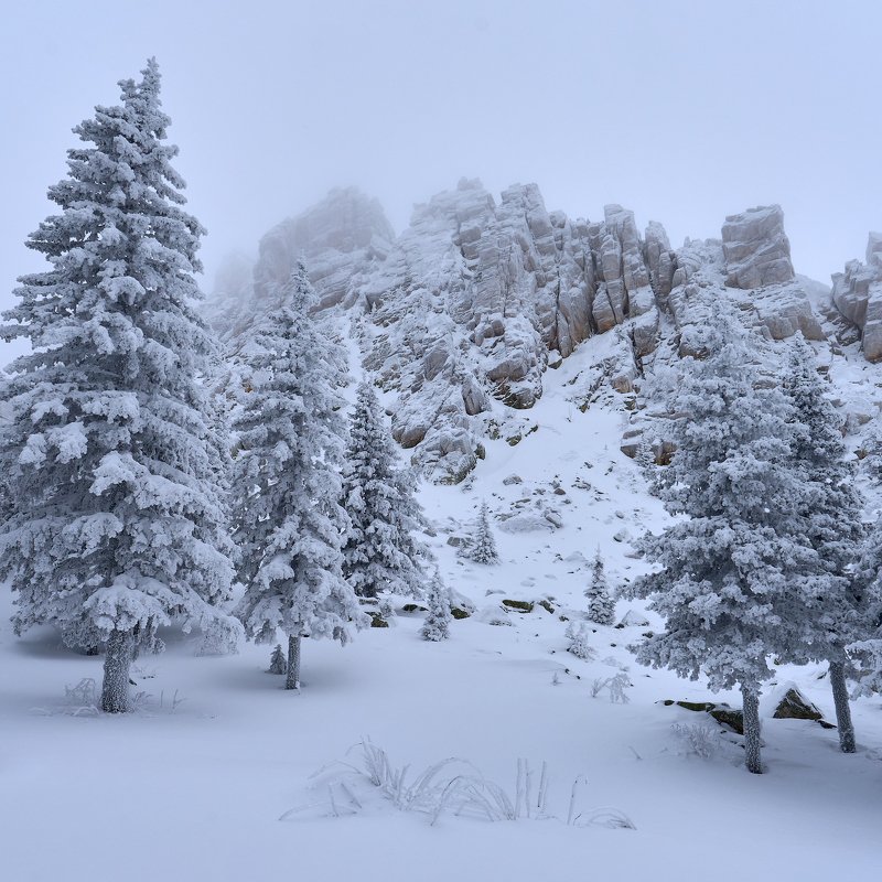 Откликной гребень фото превью