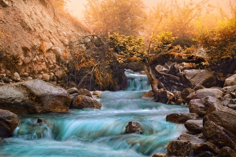 color,Water,trees,Rocks Water and color фото превью