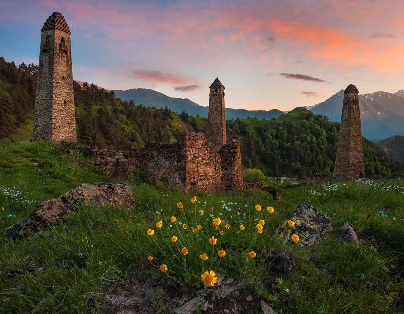 Ний фото превью