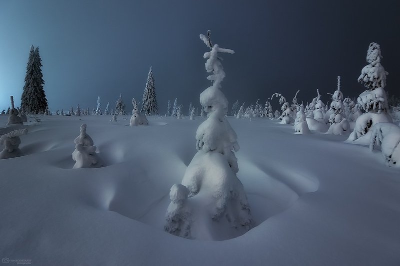 В лесу родилась ёлочка фото превью