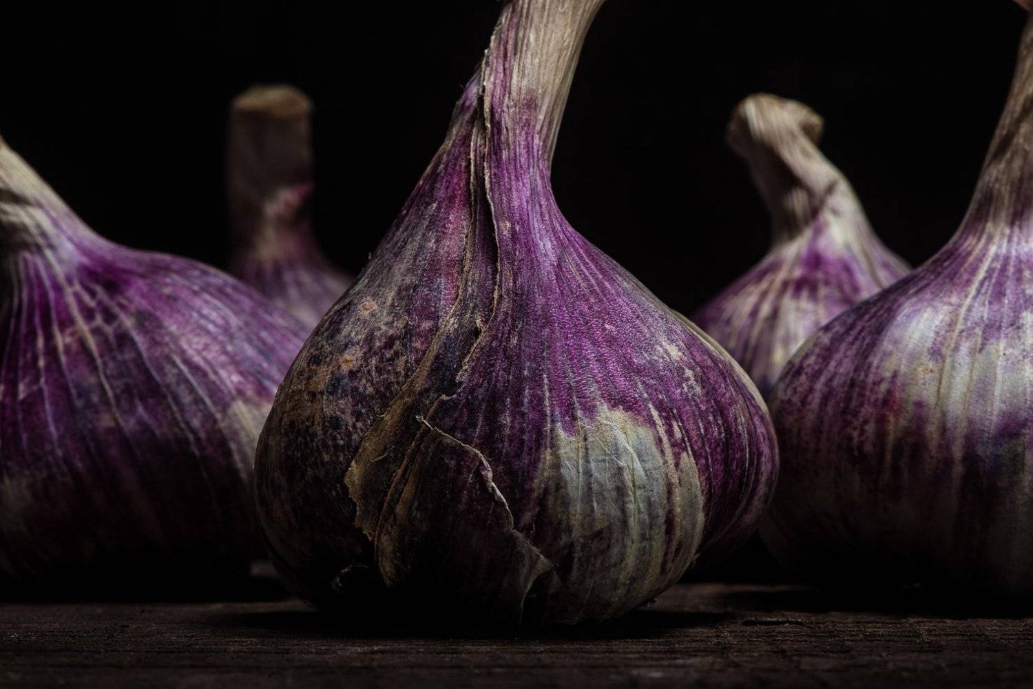purple; garlic; ail; violet; gastronomie, food, vegetable, legume, color, dark, old, vieux, vintage;, LESCHALLIER-PERSONAL ART
