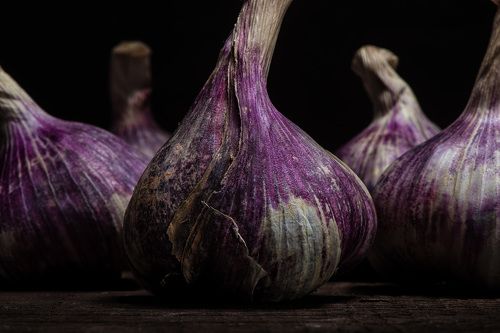 PURPLE GARLIC