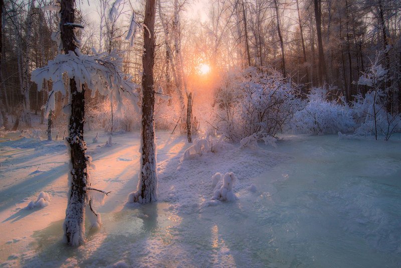 *** фото превью