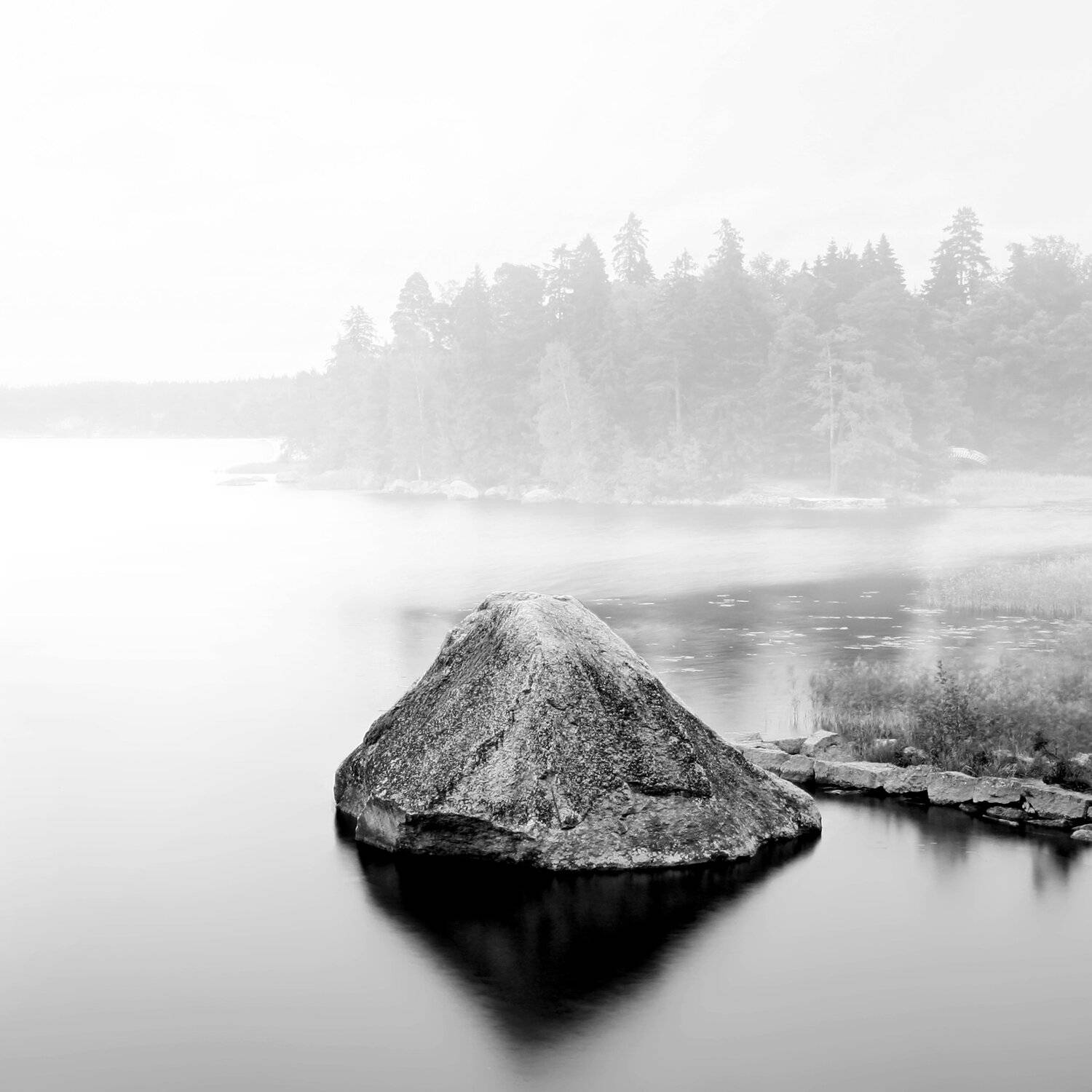 , Станислав Комов