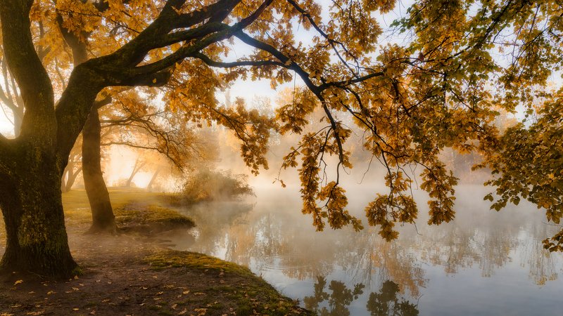 «Про осень, свет и туман» фото превью