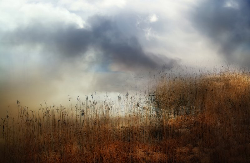 mist,day, country, countryside, outdoor, winter,tree,road,snow mist on the lake фото превью